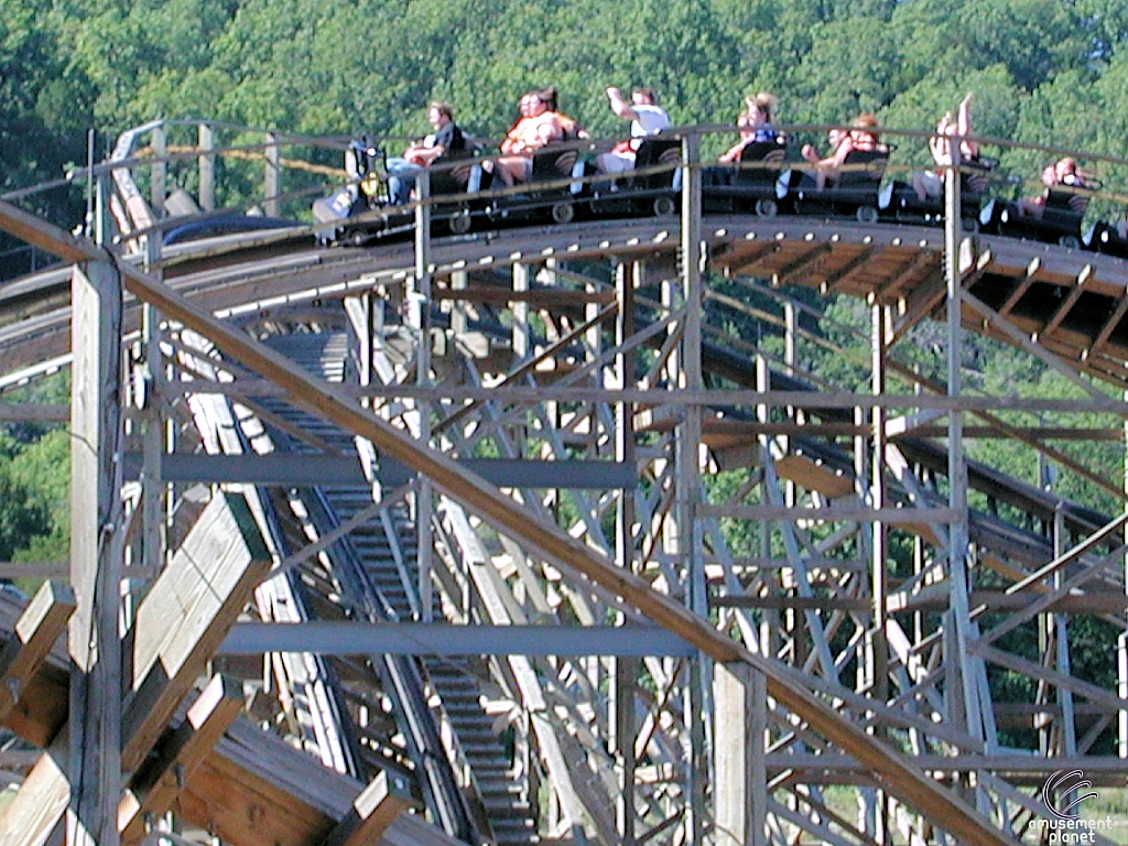 Ozark Wildcat