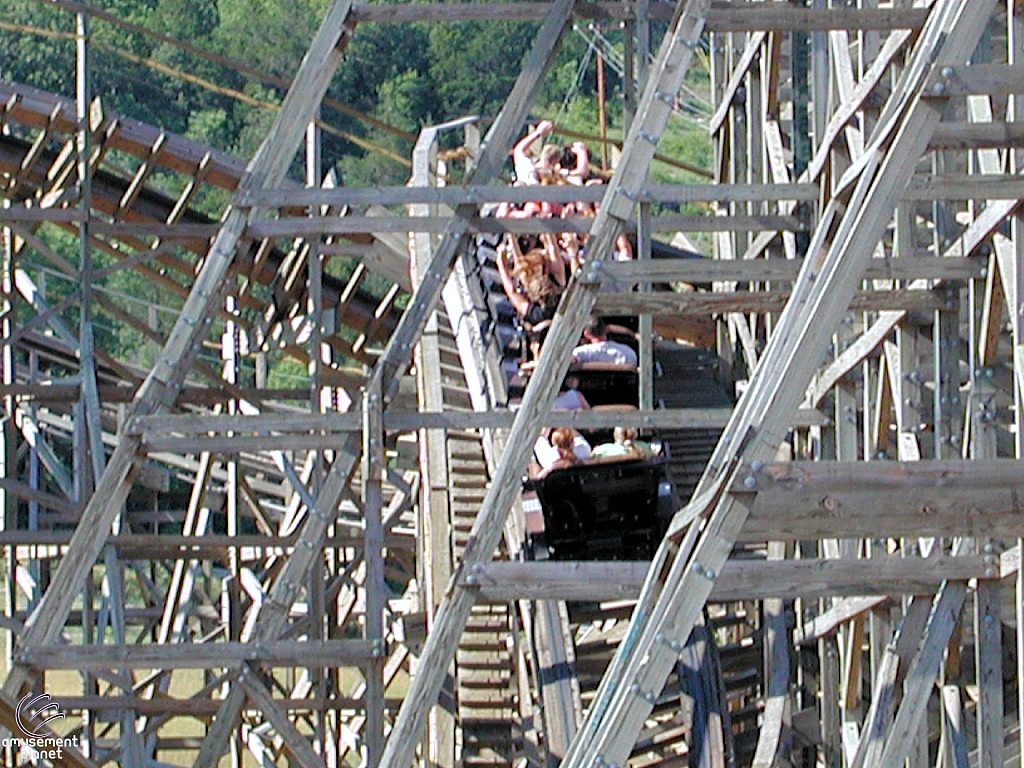 Ozark Wildcat