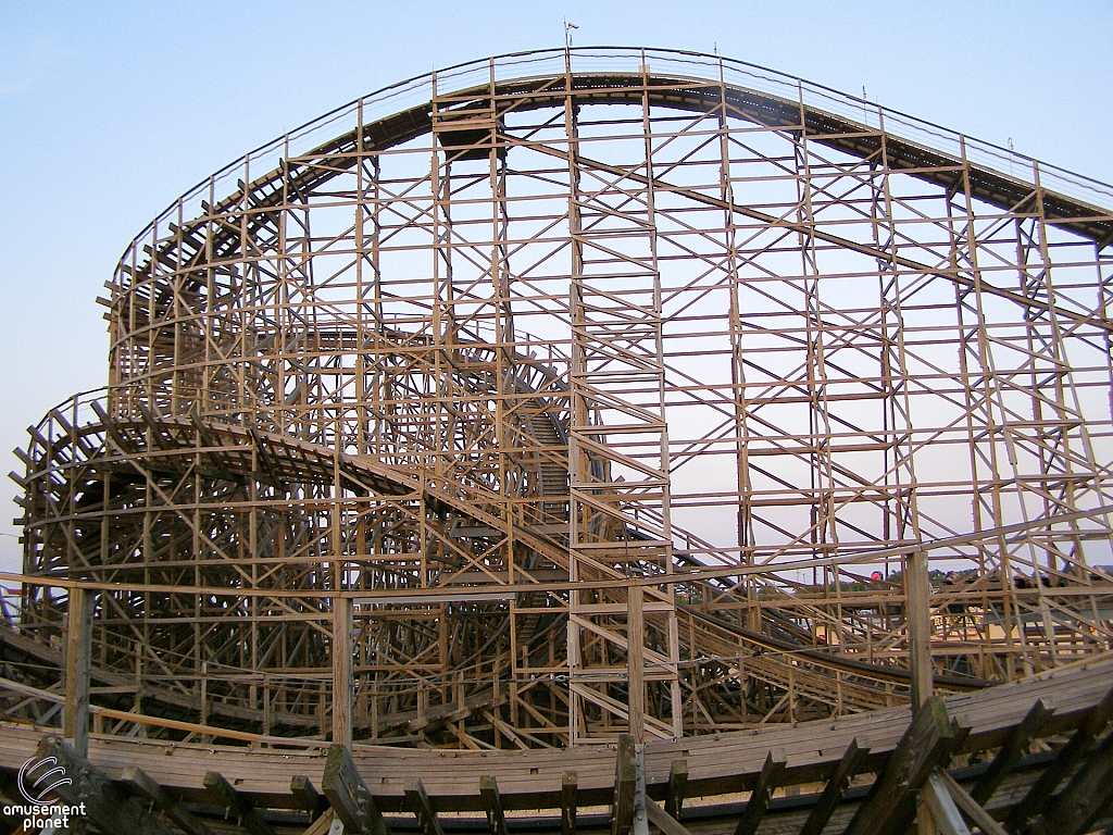 Ozark Wildcat