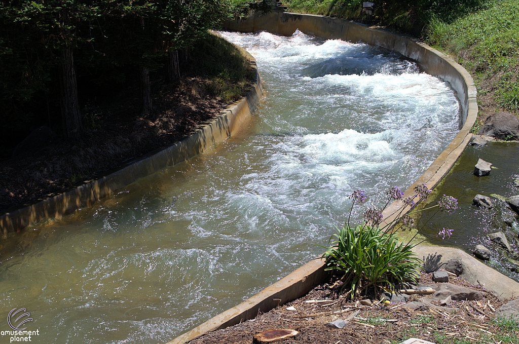 Rip Roaring Rapids