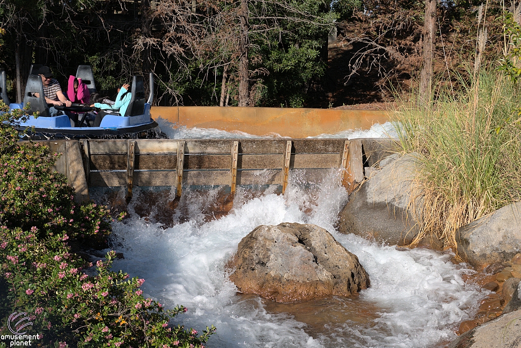 Rip Roaring Rapids
