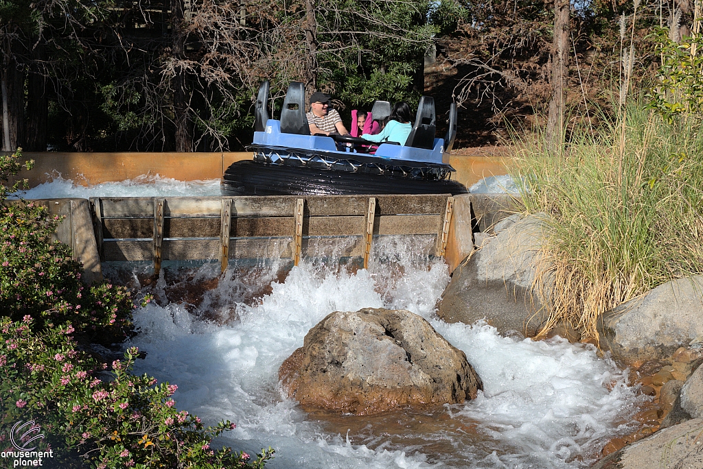 Rip Roaring Rapids