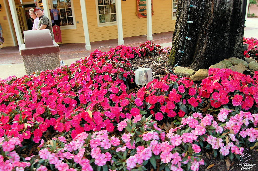 Cypress Gardens