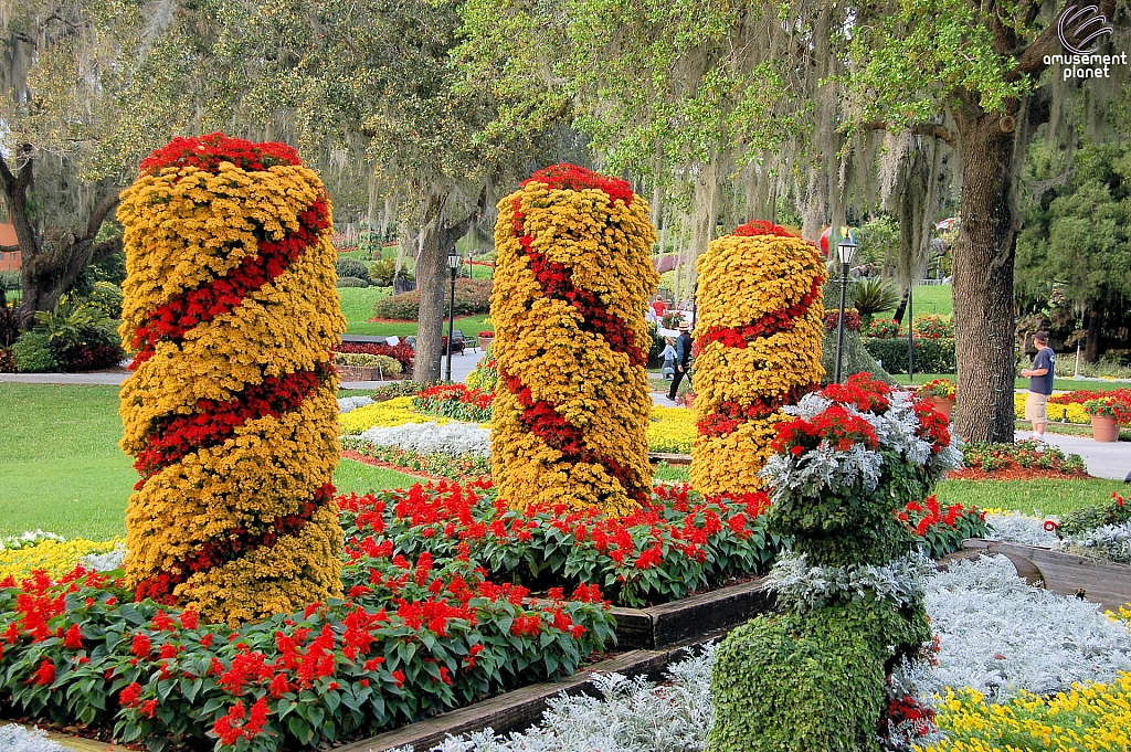 Cypress Gardens
