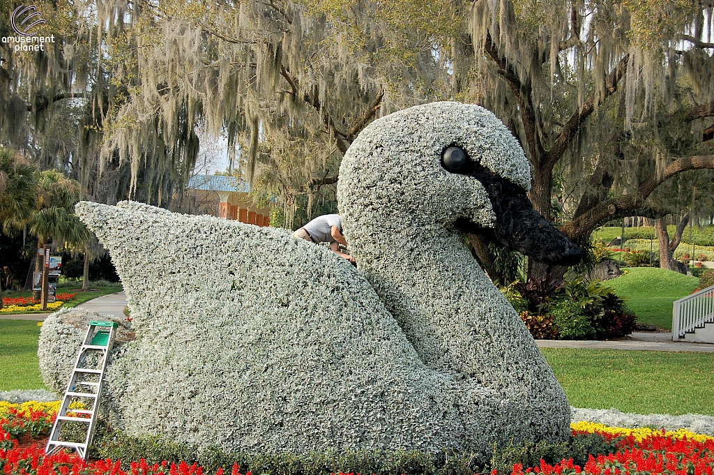 Cypress Gardens