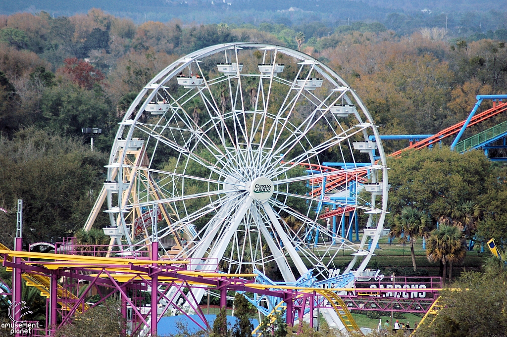 Paradise Sky Wheel