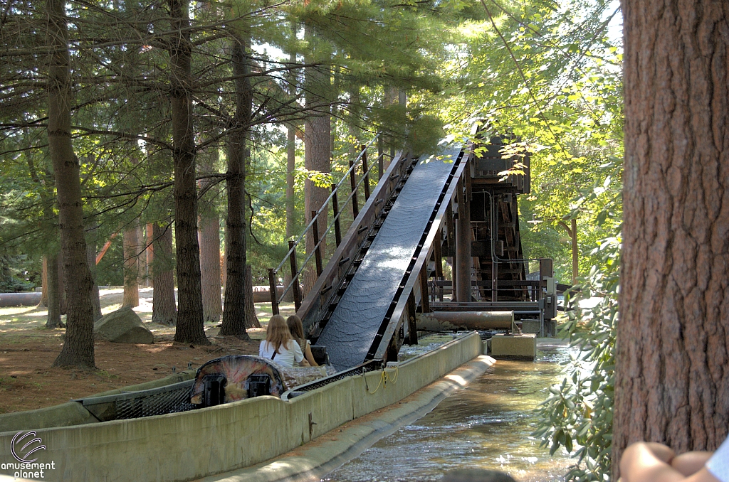 Policy Pond Log Flume