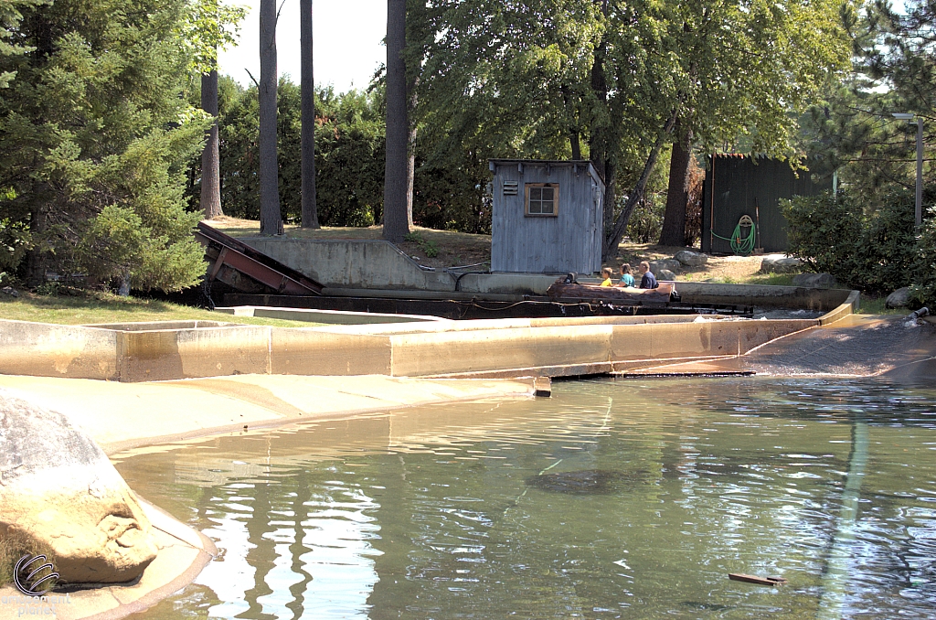 Policy Pond Log Flume