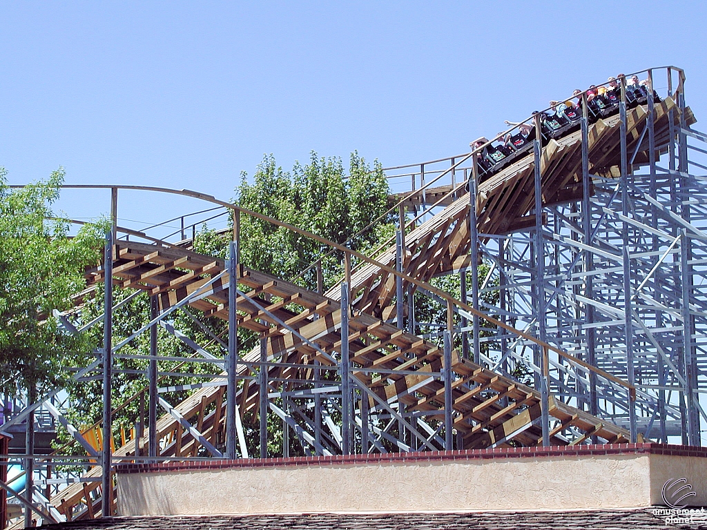 New Mexico Rattler