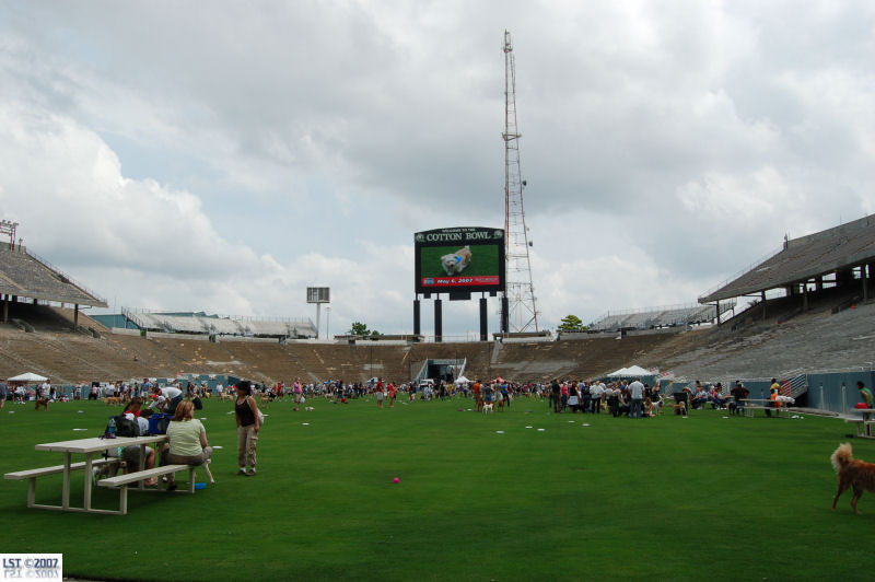 Cotton Bowl