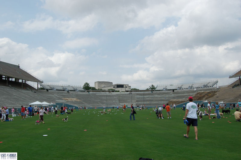 Cotton Bowl