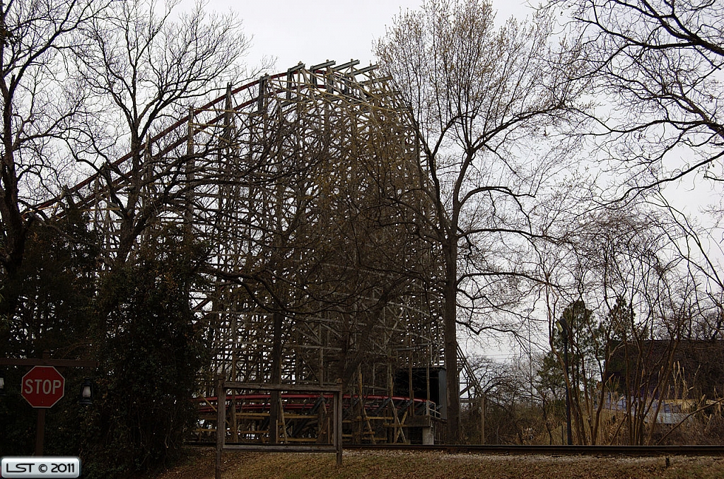 New Texas Giant