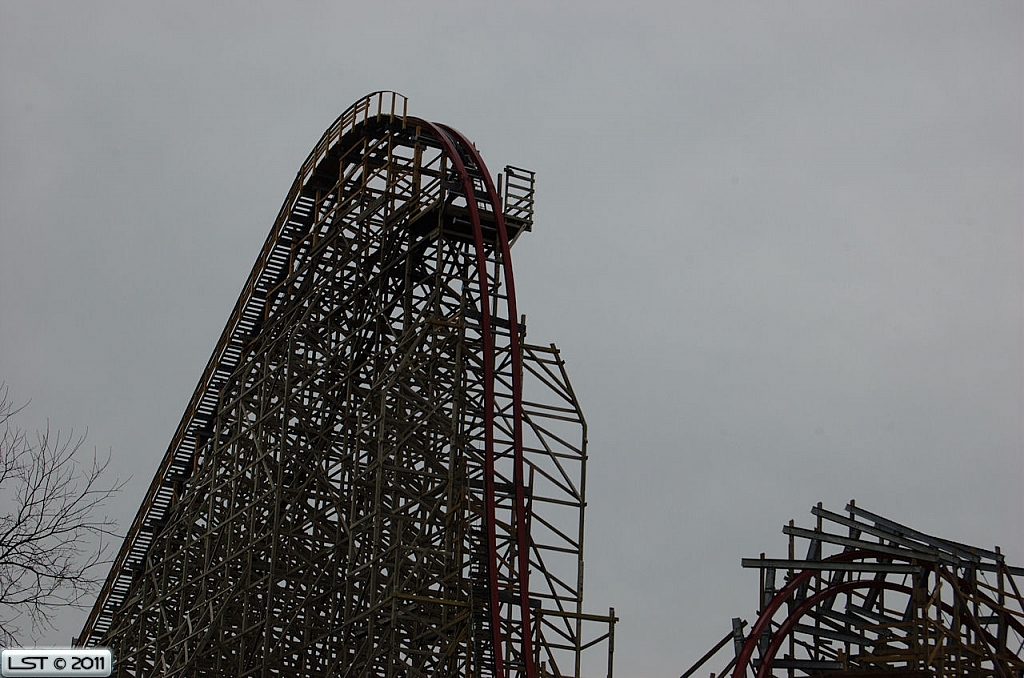 New Texas Giant