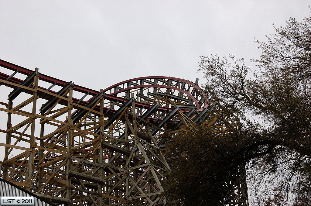 New Texas Giant