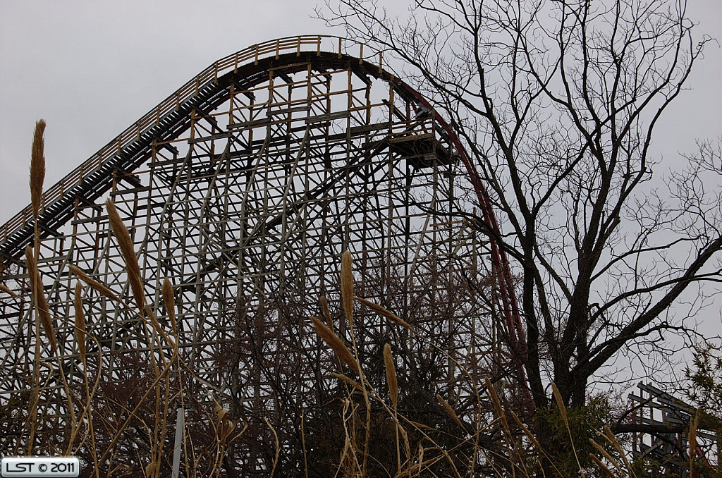 New Texas Giant