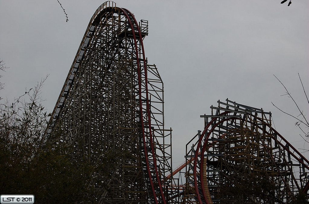 New Texas Giant