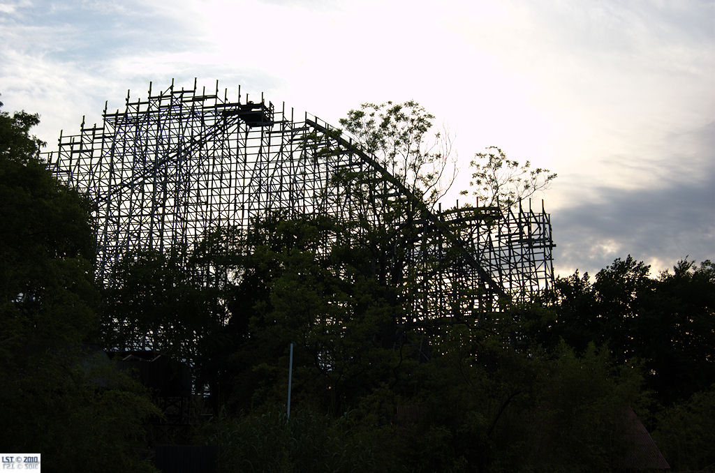 New Texas Giant