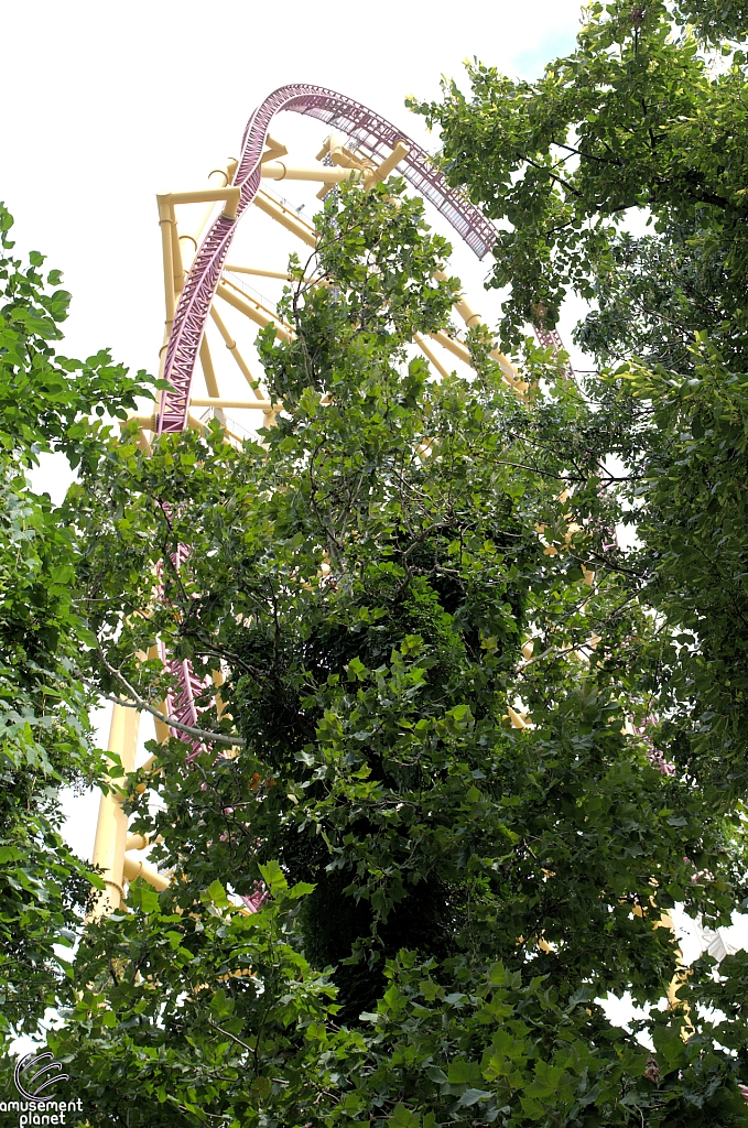 Top Thrill Dragster