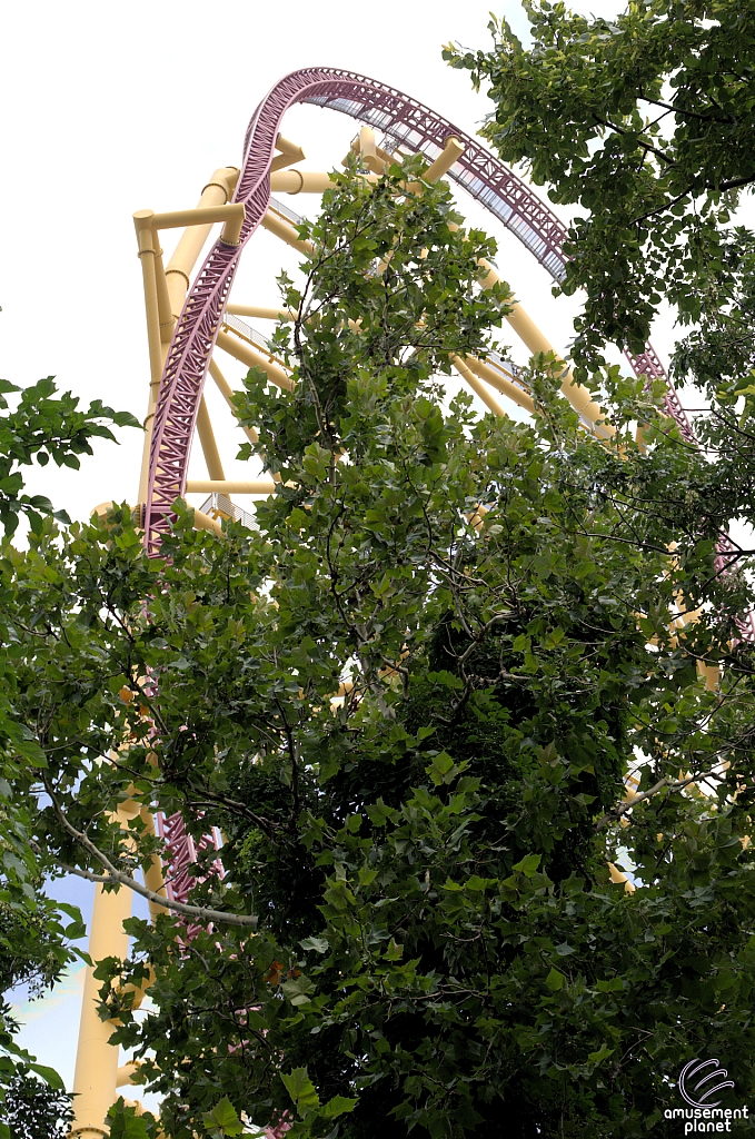 Top Thrill Dragster