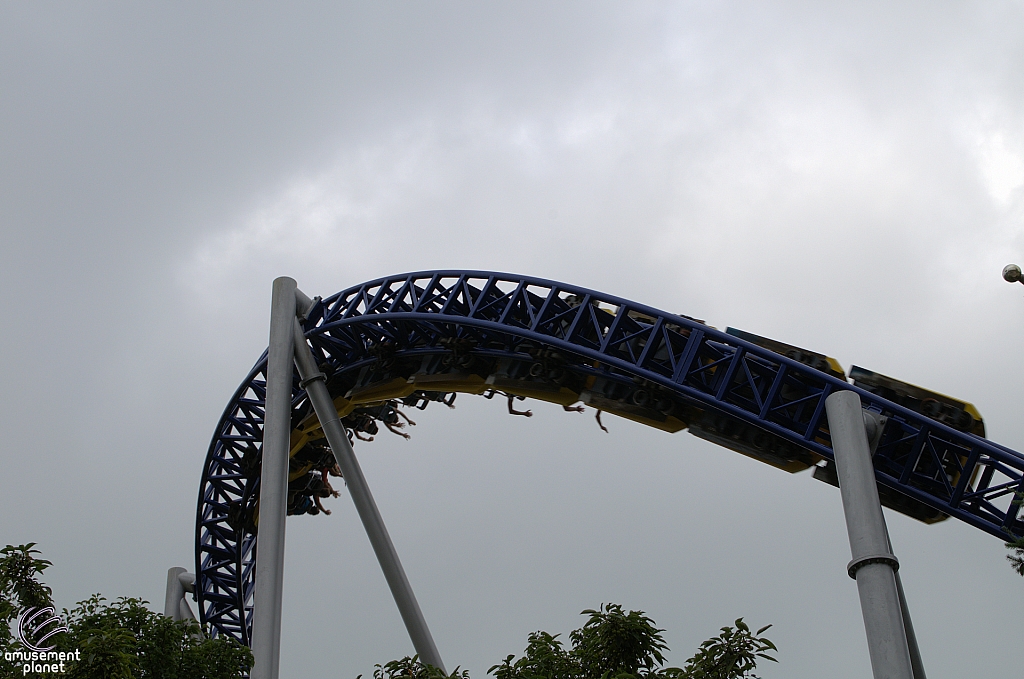 Millennium Force