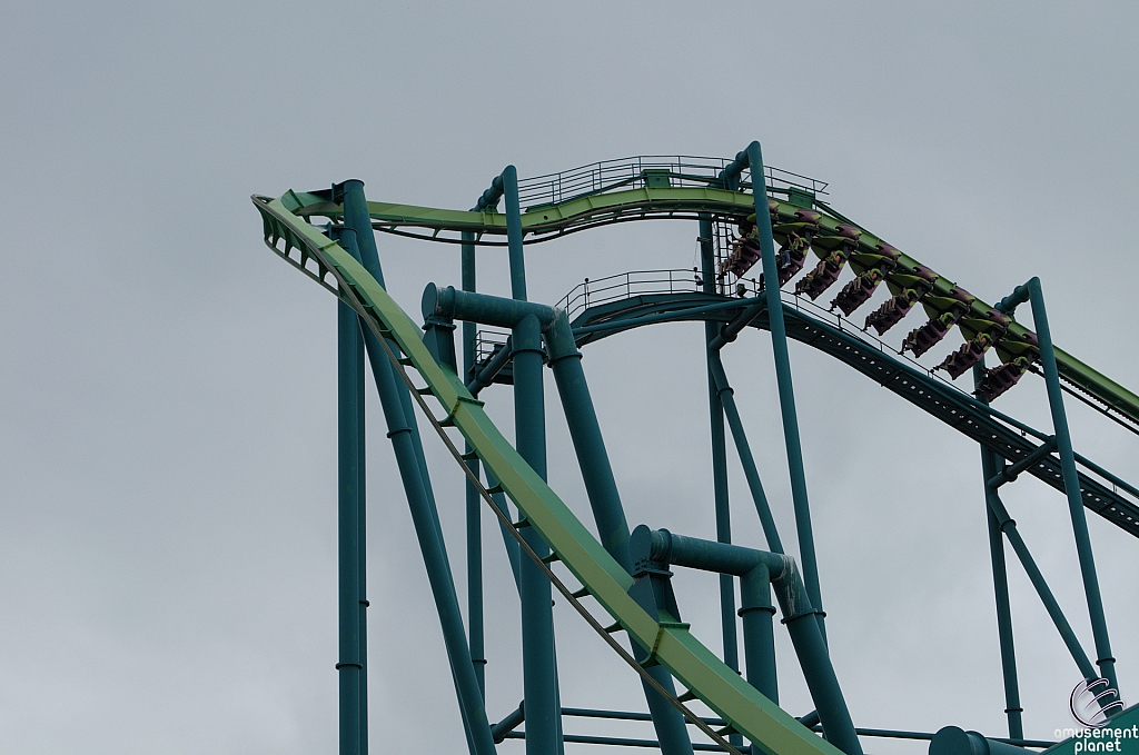 Raptor