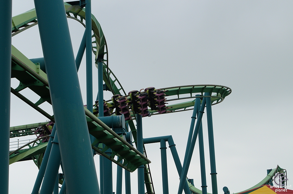 Raptor