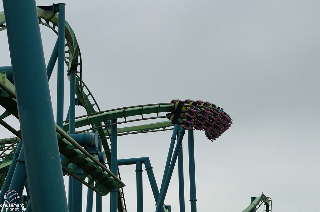 Raptor