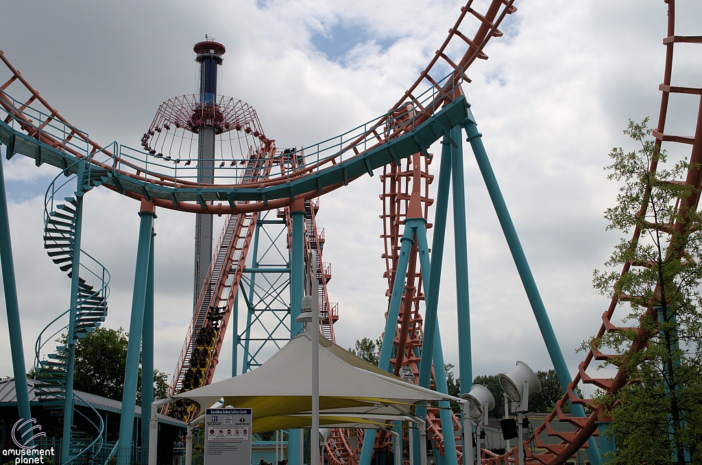 Flying Cobras