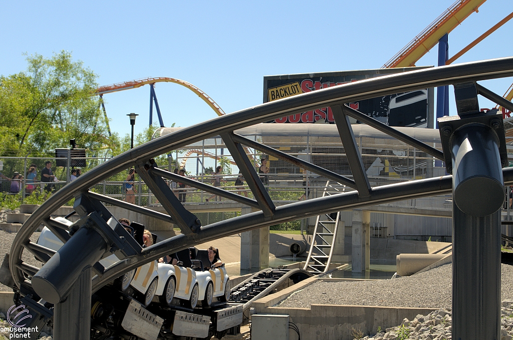 Back Lot Stunt Coaster