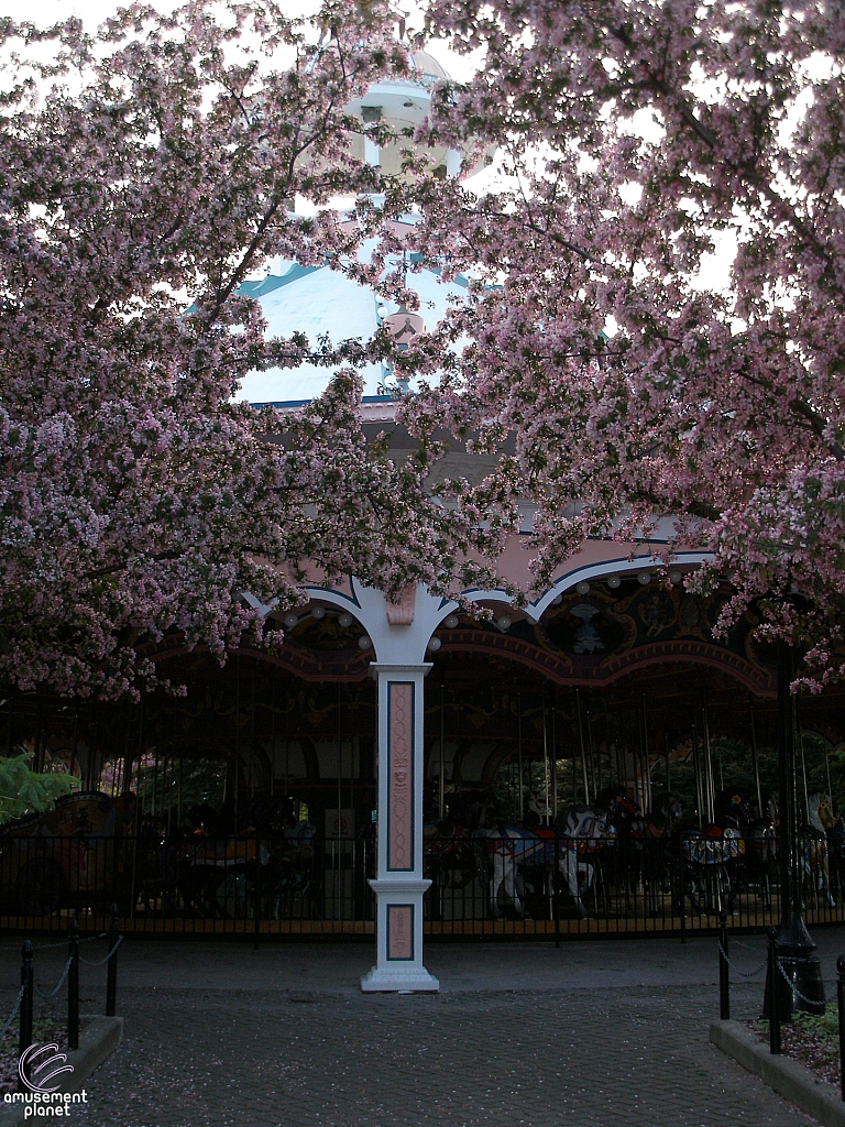 Antique Carrousel