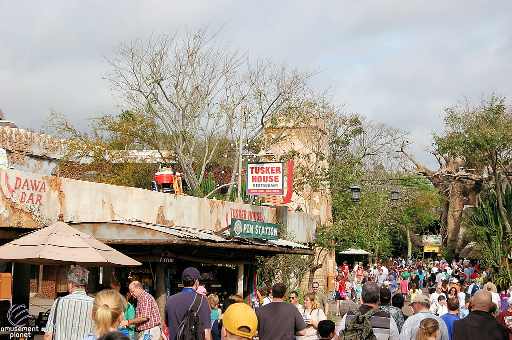 Disney's Animal Kingdom