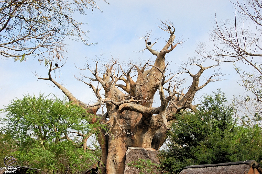 Disney's Animal Kingdom