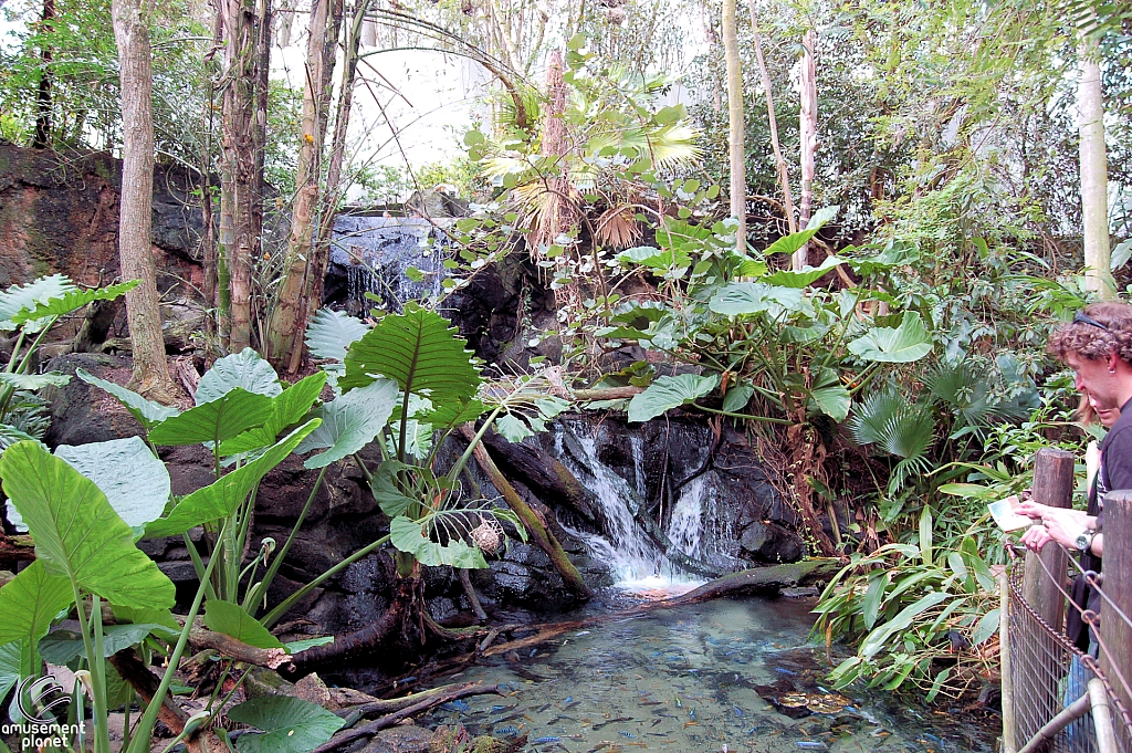 Disney's Animal Kingdom