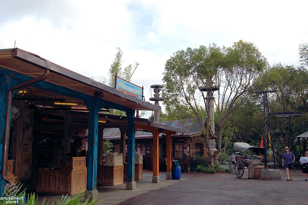 Disney's Animal Kingdom