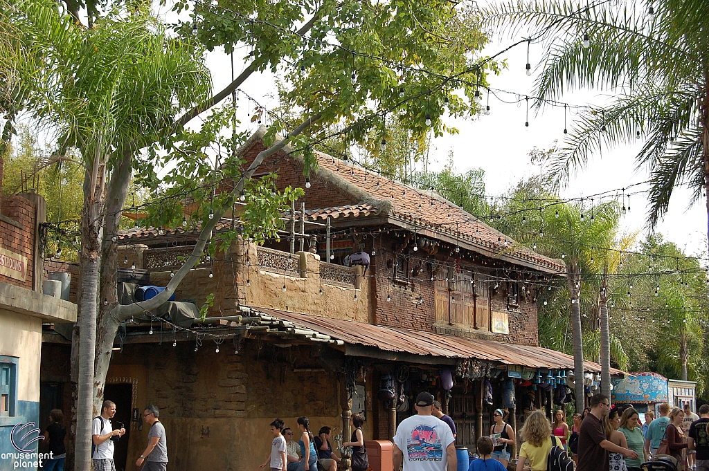 Disney's Animal Kingdom