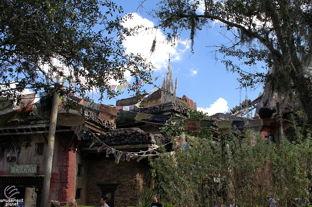 Disney's Animal Kingdom