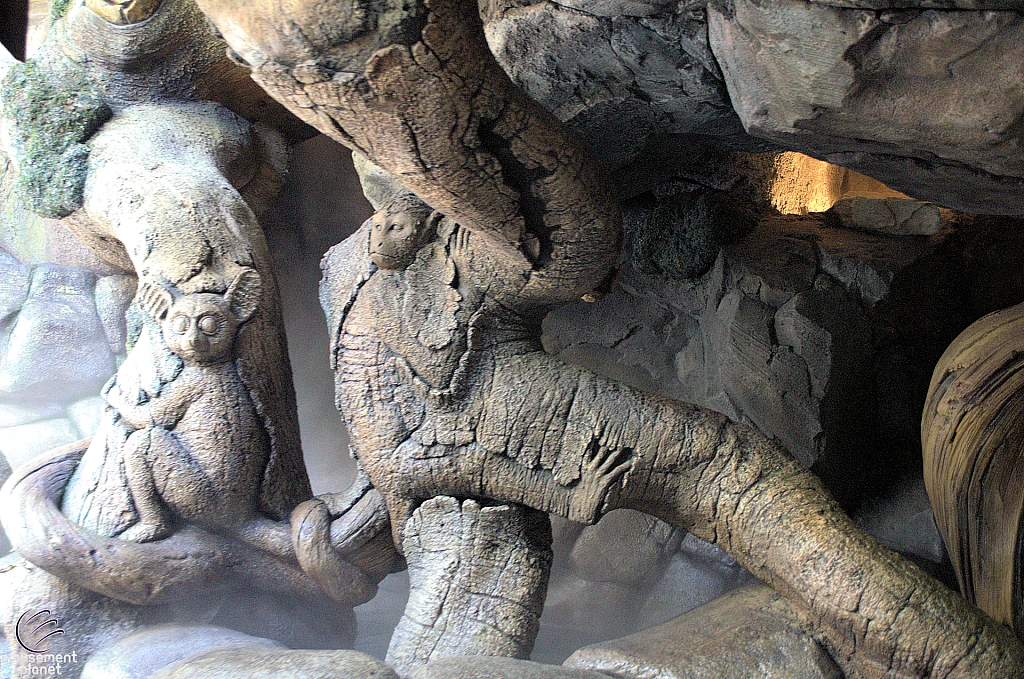 Tree of Life