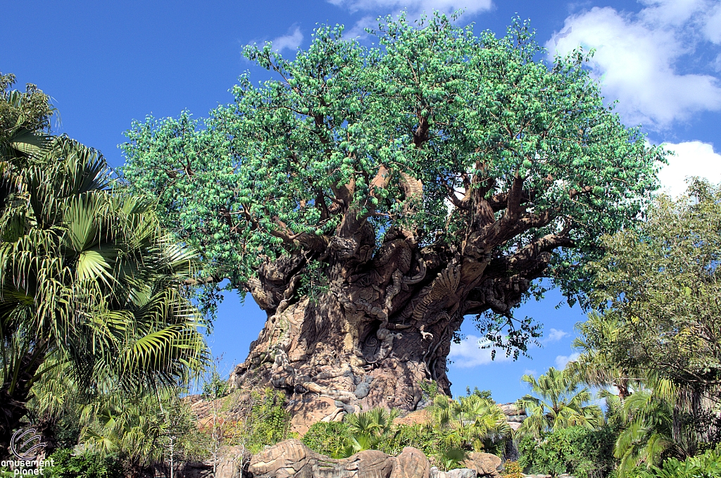 Tree of Life