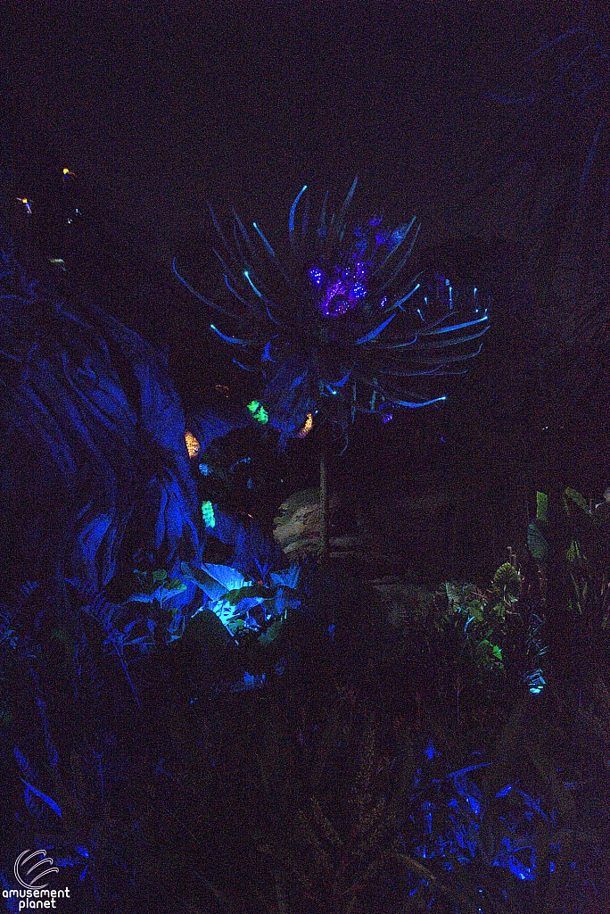 Pandora: The World of Avatar