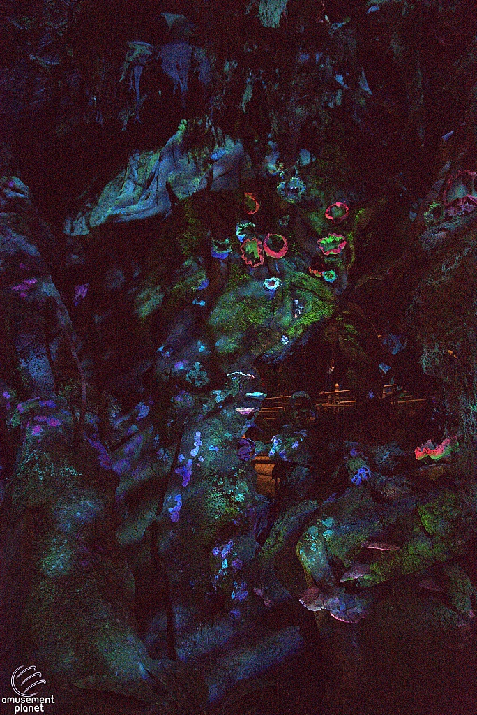 Avatar Flight of Passage