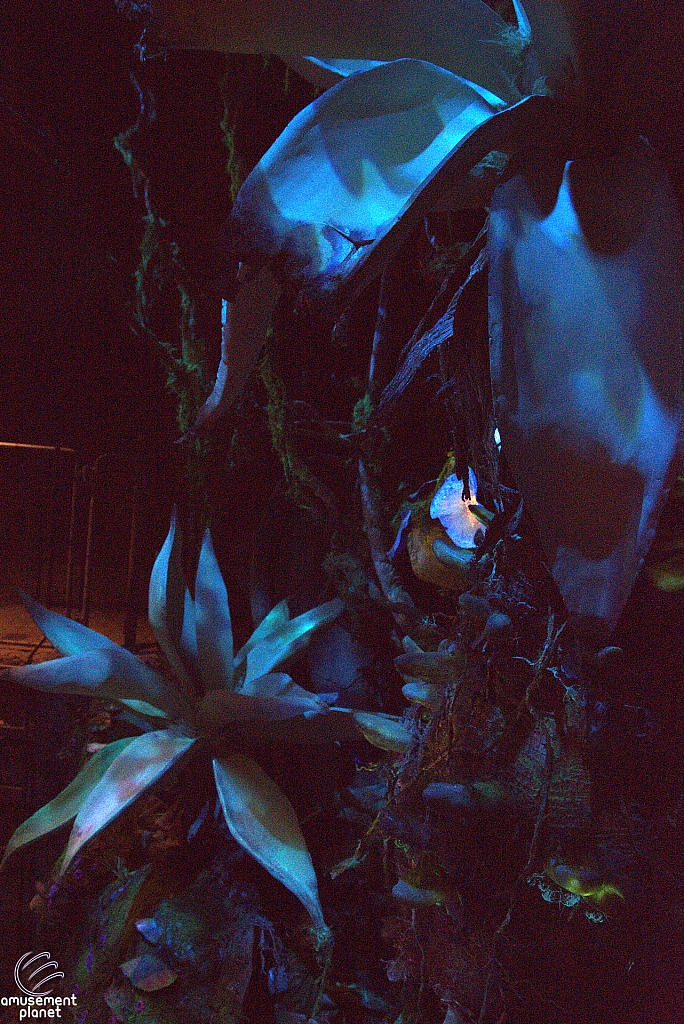 Avatar Flight of Passage