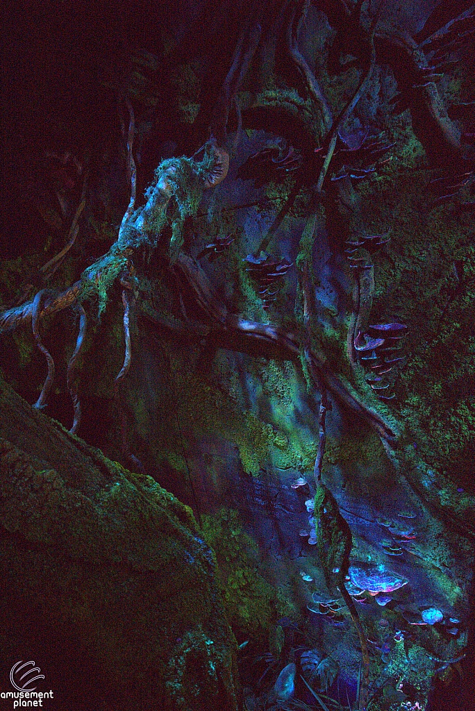 Avatar Flight of Passage