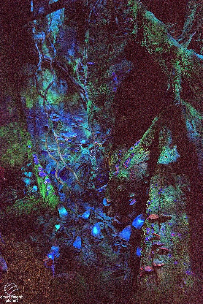 Avatar Flight of Passage