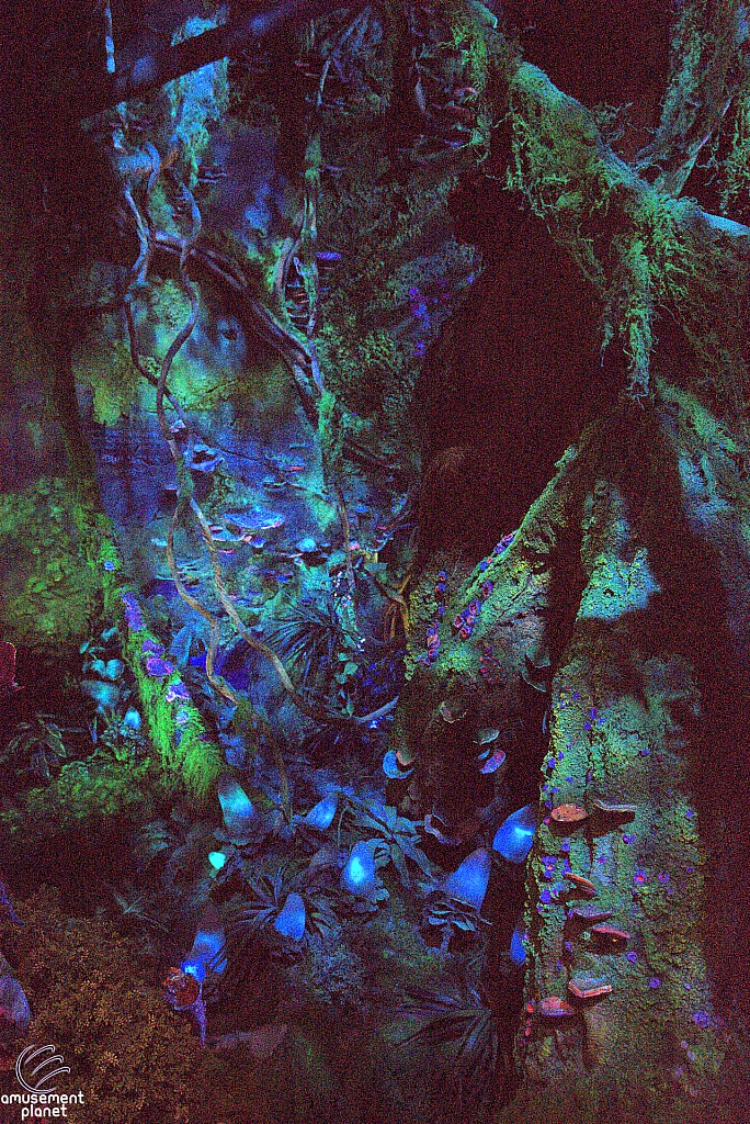 Avatar Flight of Passage