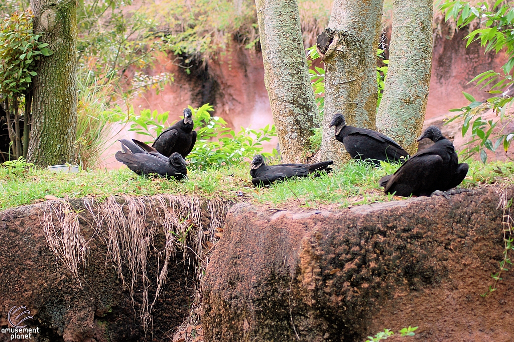 Kilimanjaro Safaris