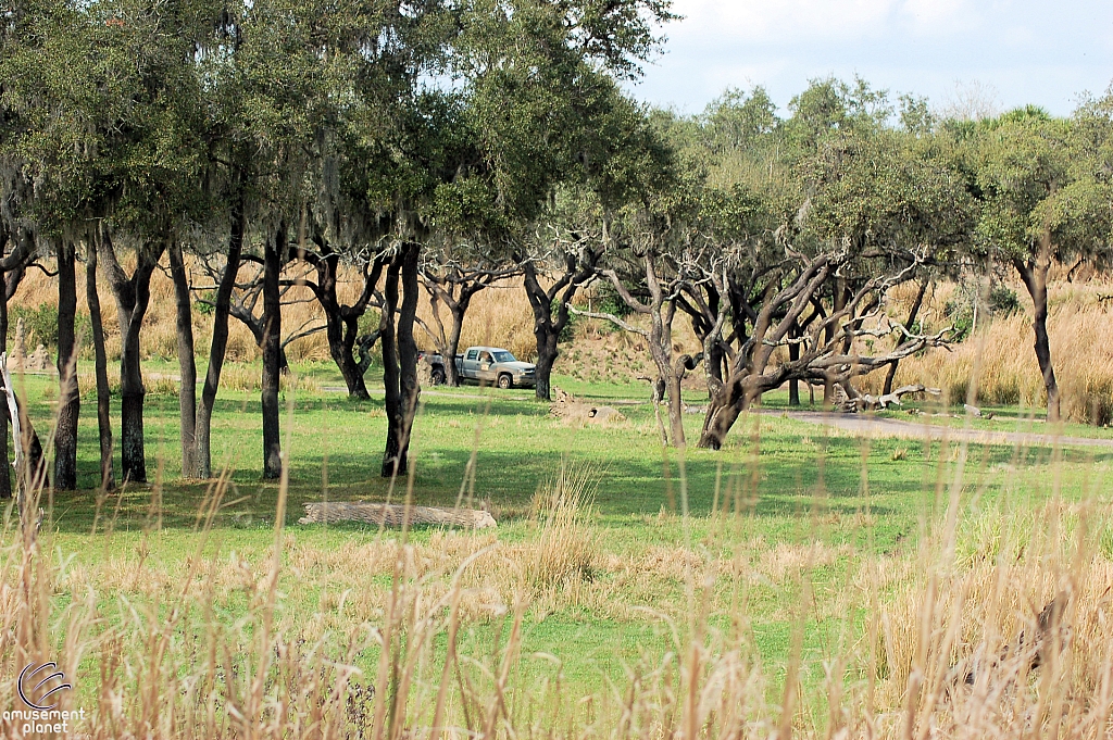 Kilimanjaro Safaris