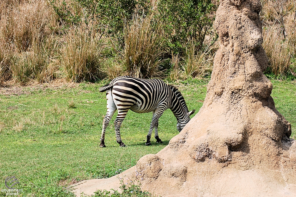 Kilimanjaro Safaris