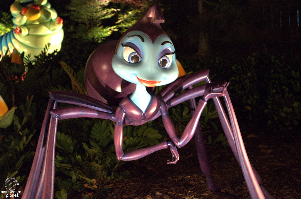 A Bug's Land