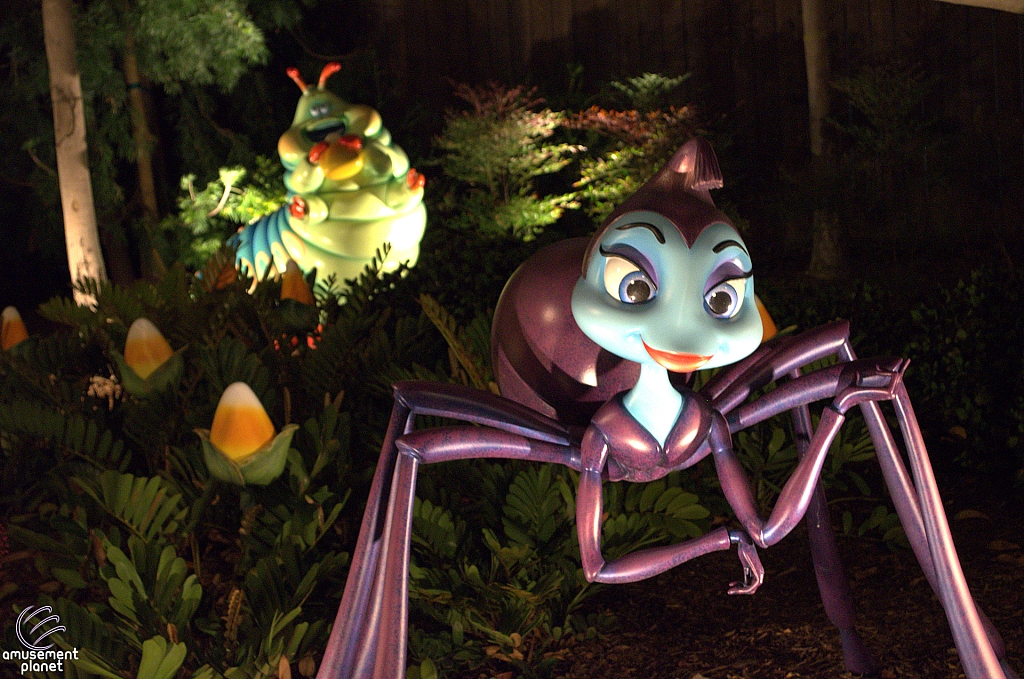 A Bug's Land