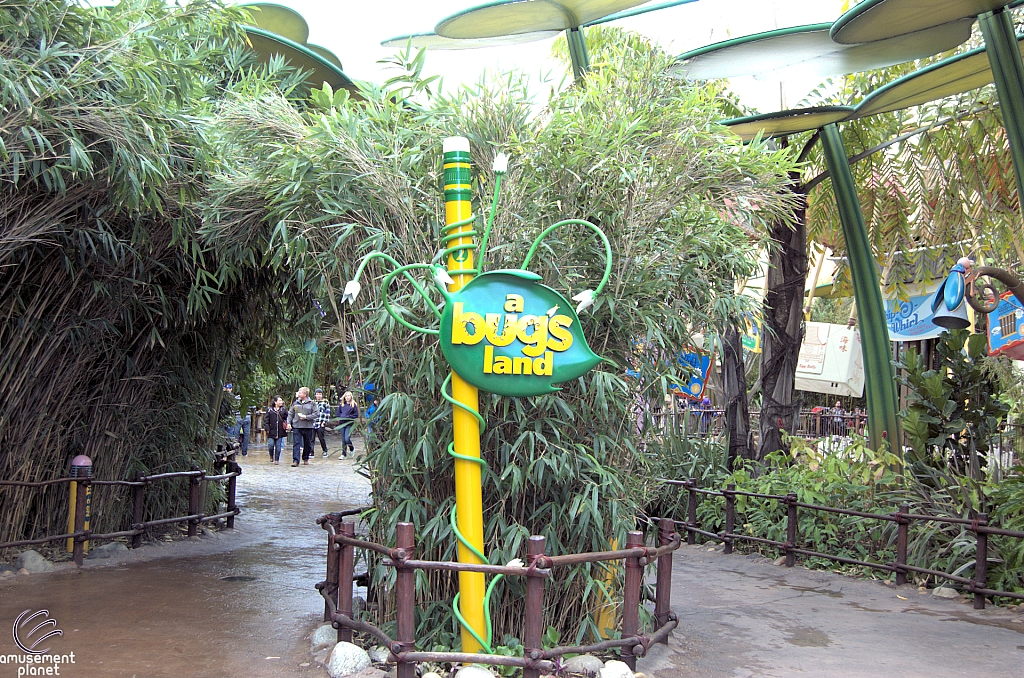 A Bug's Land
